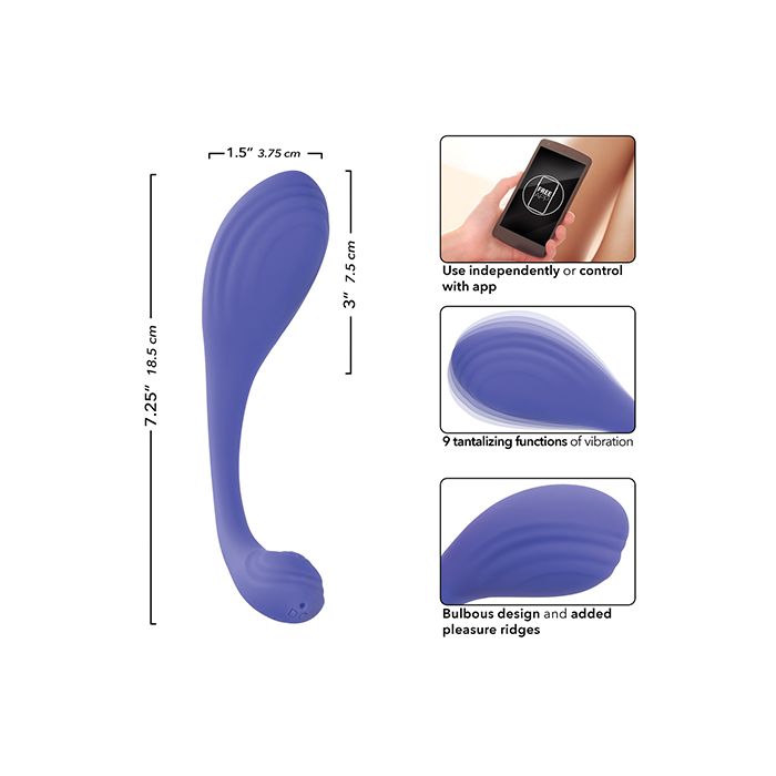 Connect Kegel Exerciser